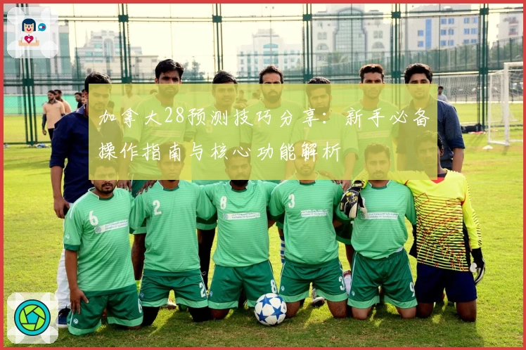 加拿大28预测技巧分享：新手必备操作指南与核心功能解析