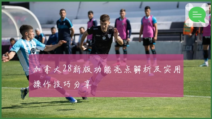 加拿大28新版功能亮点解析及实用操作技巧分享