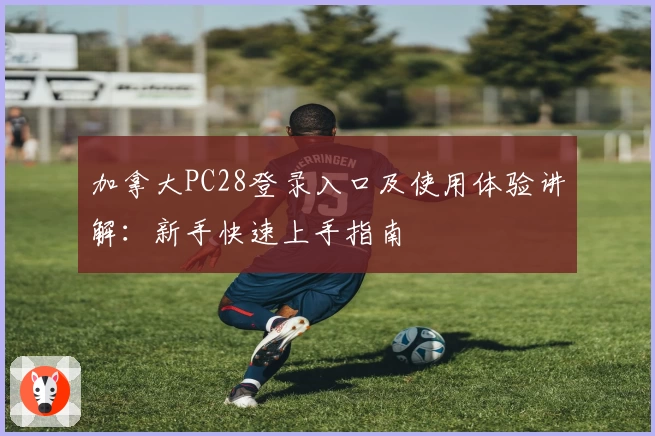 加拿大PC28登录入口及使用体验讲解:新手快速上手指南