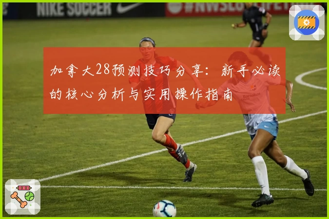 加拿大28预测技巧分享：新手必读的核心分析与实用操作指南