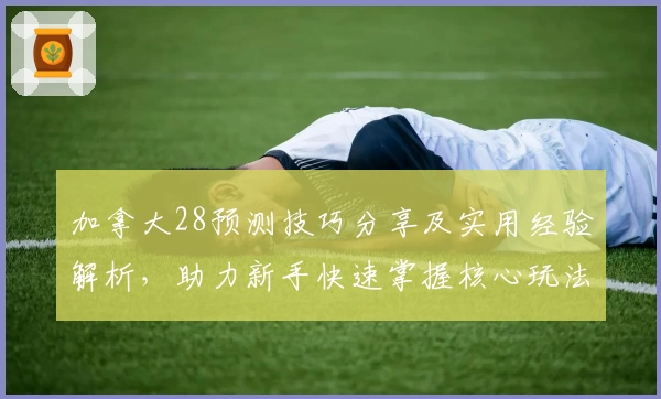 加拿大28预测技巧分享及实用经验解析，助力新手快速掌握核心玩法诀窍