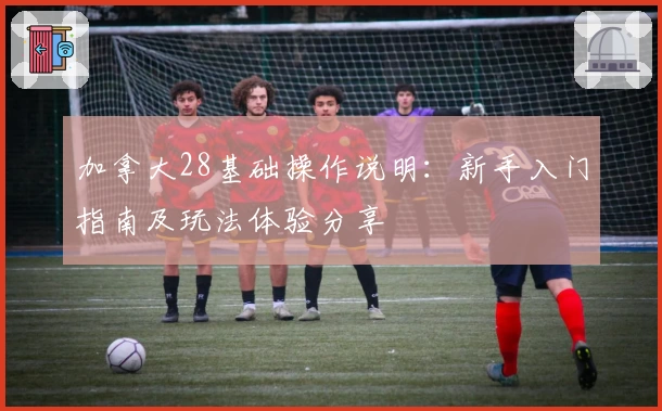 加拿大28基础操作说明：新手入门指南及玩法体验分享