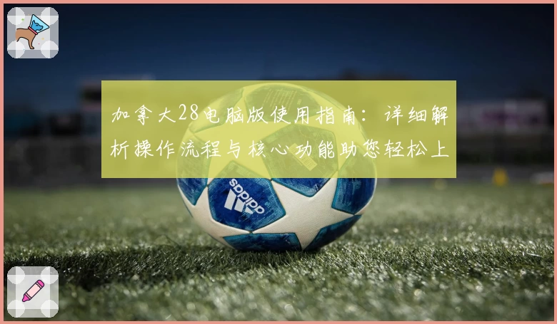 加拿大28电脑版使用指南：详细解析操作流程与核心功能助您轻松上手