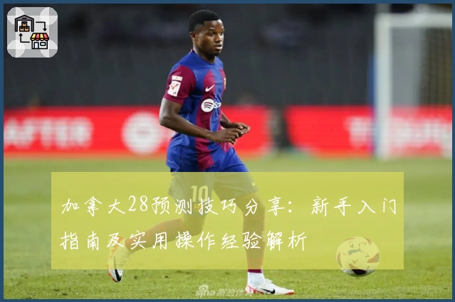 加拿大28预测技巧分享：新手入门指南及实用操作经验解析