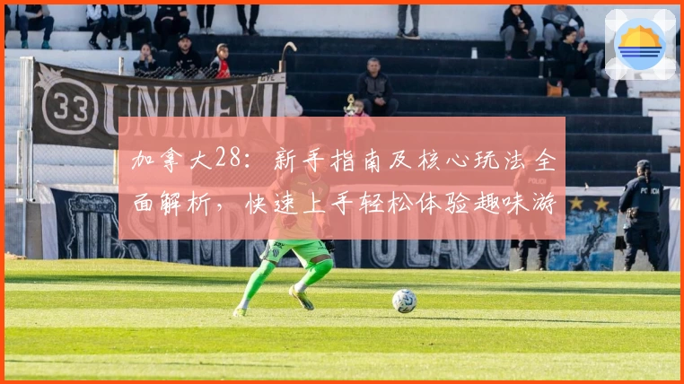 加拿大28：新手指南及核心玩法全面解析，快速上手轻松体验趣味游戏