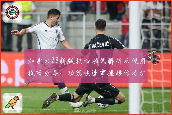 加拿大28新版核心功能解析及使用技巧分享，助您快速掌握操作方法