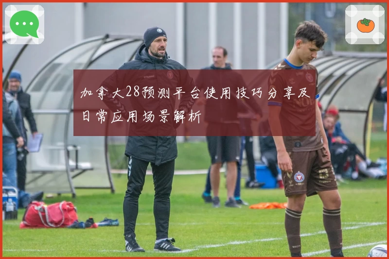加拿大28预测平台使用技巧分享及日常应用场景解析