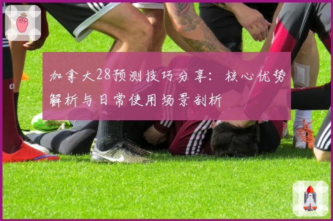 加拿大28预测技巧分享：核心优势解析与日常使用场景剖析