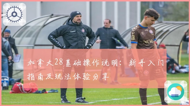 加拿大28基础操作说明：新手入门指南及玩法体验分享