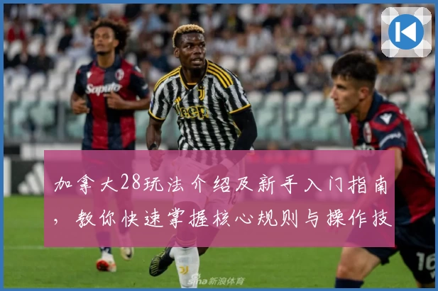 加拿大28玩法介绍及新手入门指南，教你快速掌握核心规则与操作技巧