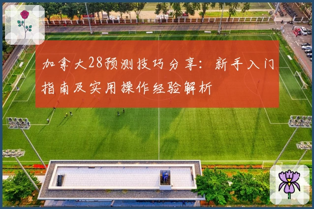 加拿大28预测技巧分享：新手入门指南及实用操作经验解析