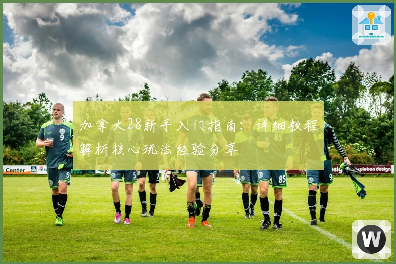 加拿大28新手入门指南：详细教程解析核心玩法经验分享