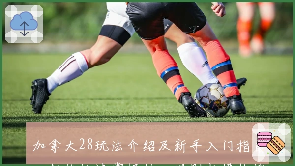 加拿大28玩法介绍及新手入门指南，教你快速掌握核心规则与操作技巧