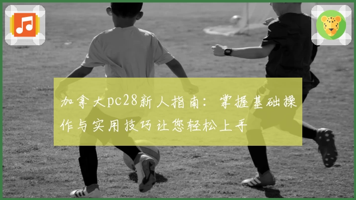 加拿大pc28新人指南：掌握基础操作与实用技巧让您轻松上手