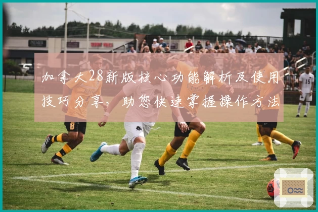 加拿大28新版核心功能解析及使用技巧分享，助您快速掌握操作方法