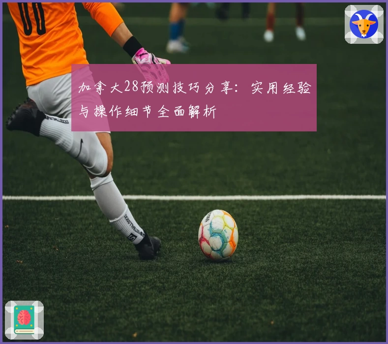 加拿大28预测技巧分享：实用经验与操作细节全面解析