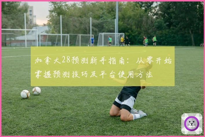加拿大28预测新手指南：从零开始掌握预测技巧及平台使用方法